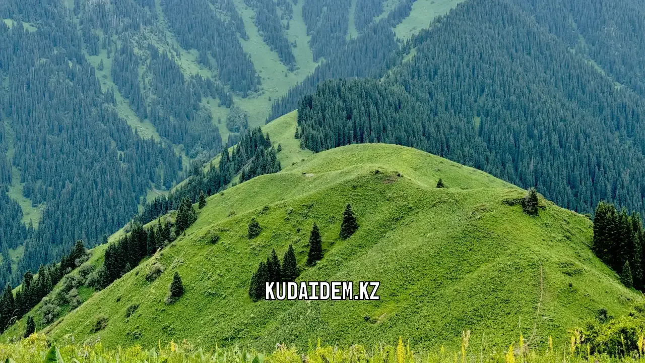Поход на Волчью гору